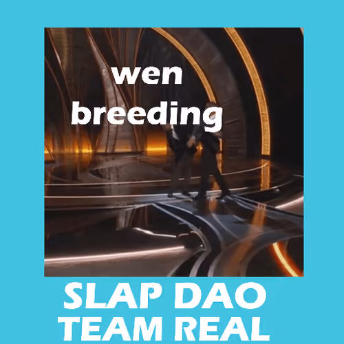 Slap DAO #1173
