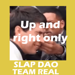 Slap DAO #914