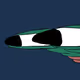 24