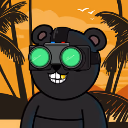 555