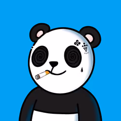 Panda Gang NFT #34