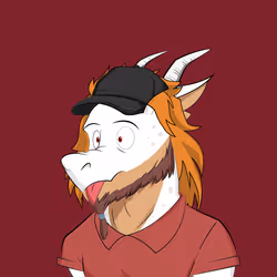 716