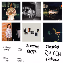 Sixteen #5