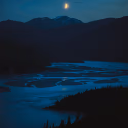 88717188555456903397148742844996658329