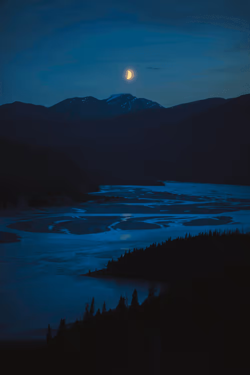 Item #88717188555456903397148742844996658329 Media