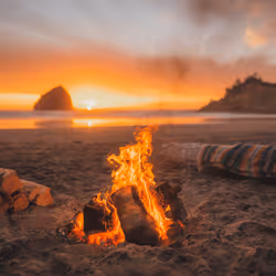 157831635483740033126435501851131728816