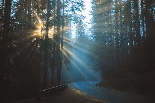 Item #269261232249872142748042619417708708652 Media