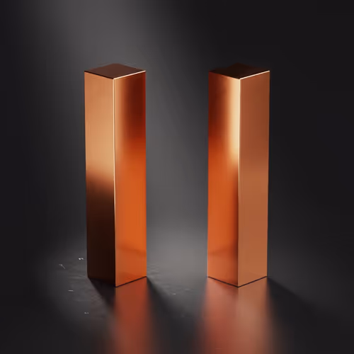 Item #100020025 Media