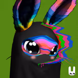 BUNNZ #1992
