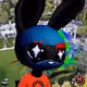 338