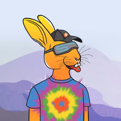 WonderGame Metaverse #1289