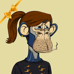 41