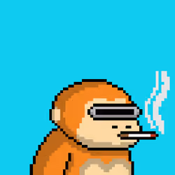 BowlBrain #588