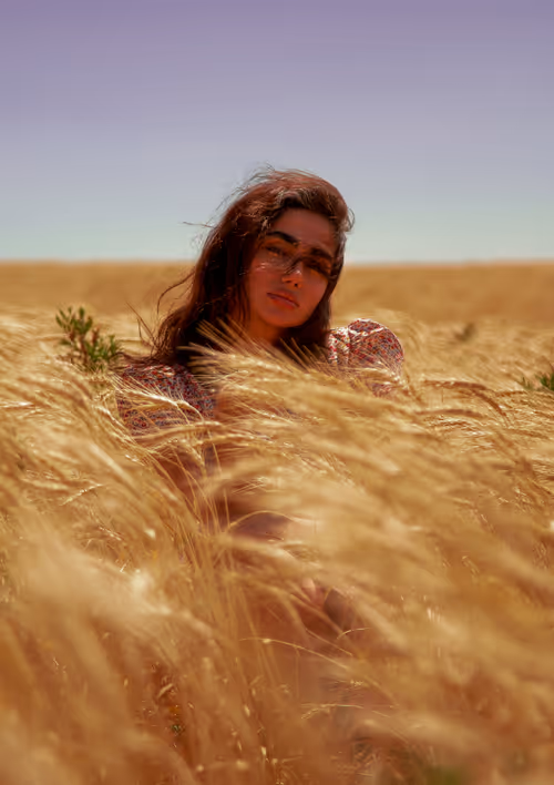 Wheatland