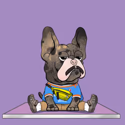 Frenchie Baller #2172