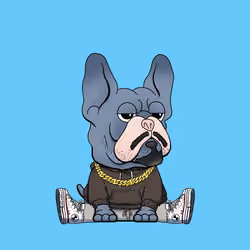 Frenchie Baller #1202