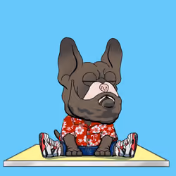 Frenchie Baller #2945