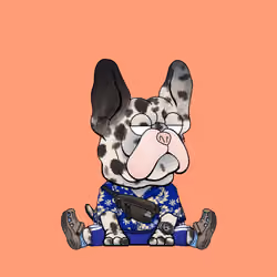 Frenchie Baller #871
