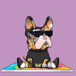 Frenchie Baller #2301