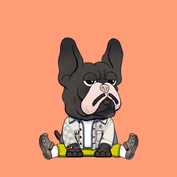 Frenchie Baller #1858