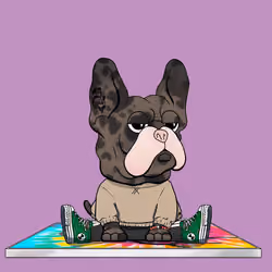 Frenchie Baller #4584