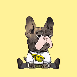Frenchie Baller #895