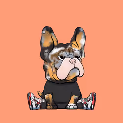 Frenchie Baller #768