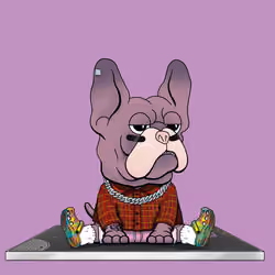 Frenchie Baller #163