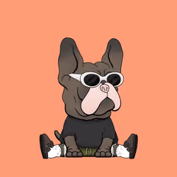 Frenchie Baller #659