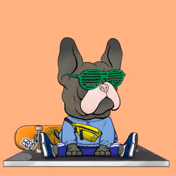 Frenchie Baller #2992