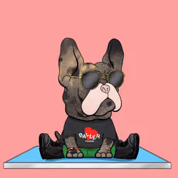 Frenchie Baller #872