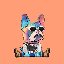 Frenchie Baller #1355