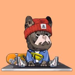 Frenchie Baller #1572