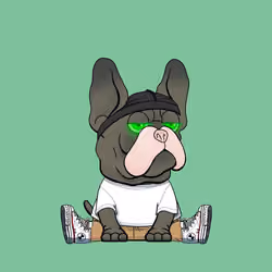 Frenchie Baller #184