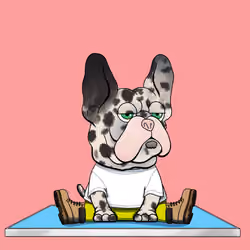 Frenchie Baller #2275