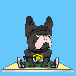Frenchie Baller #1484