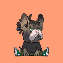 Frenchie Baller #314