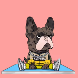 Frenchie Baller #348