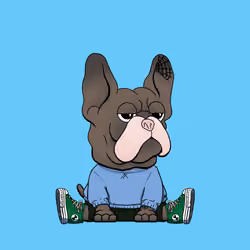 Frenchie Baller #367
