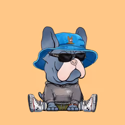 Frenchie Baller #1071