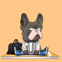 Frenchie Baller #2137