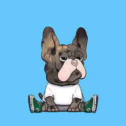 Frenchie Baller #2806