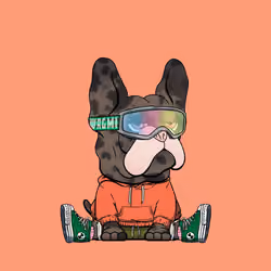 Frenchie Baller #370