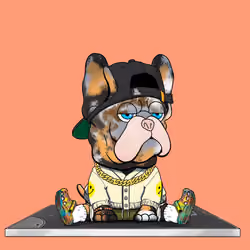Frenchie Baller #893