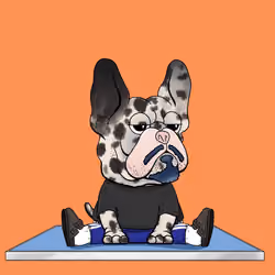 Frenchie Baller #2415