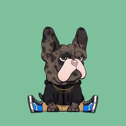 Frenchie Baller #1505
