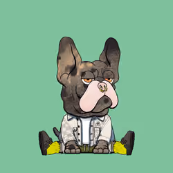 Frenchie Baller #937