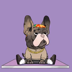 Frenchie Baller #313