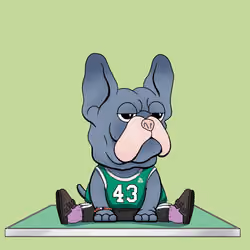 Frenchie Baller #239
