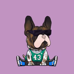 Frenchie Baller #616